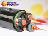 銅芯交聯鋼帶鎧裝護套電力電纜
